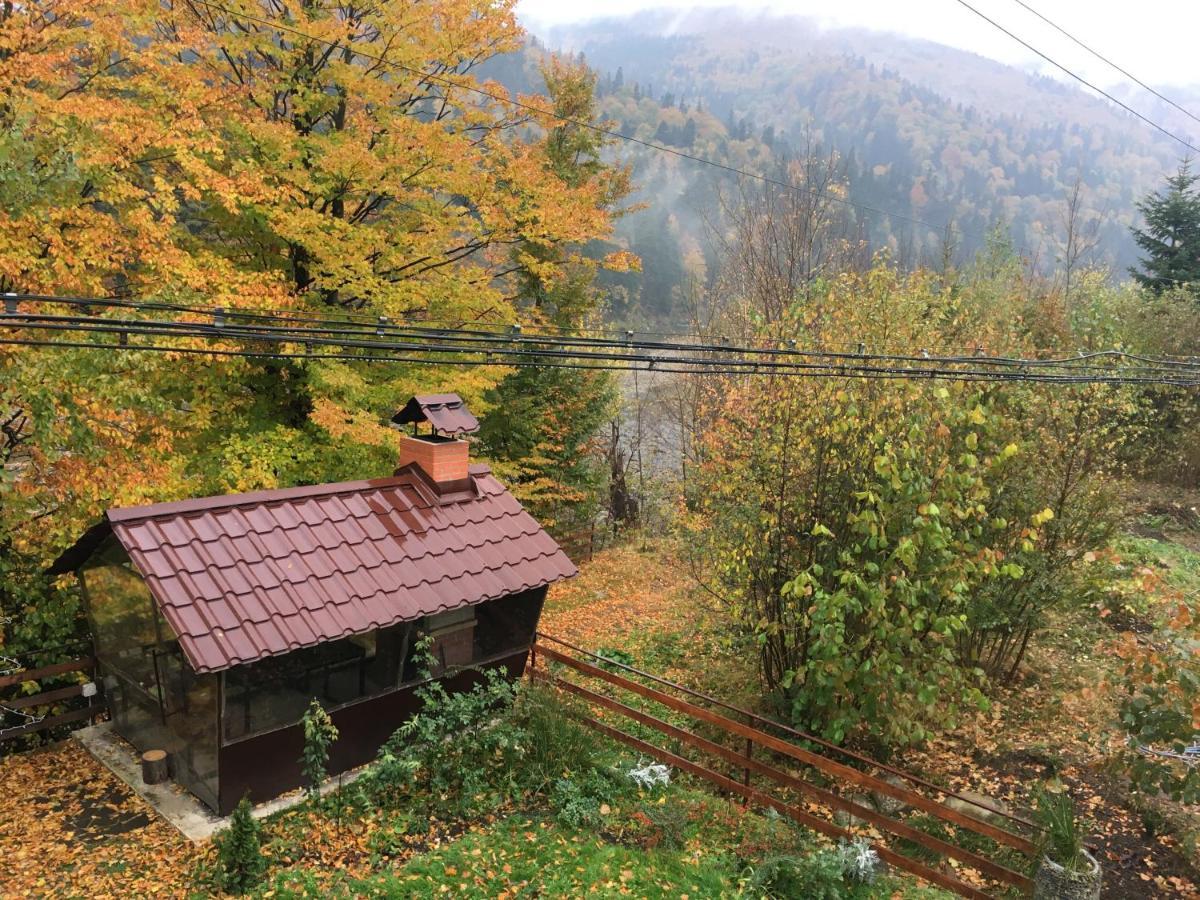 Mini-Hotel Serpanok Mikuliczyn Zewnętrze zdjęcie