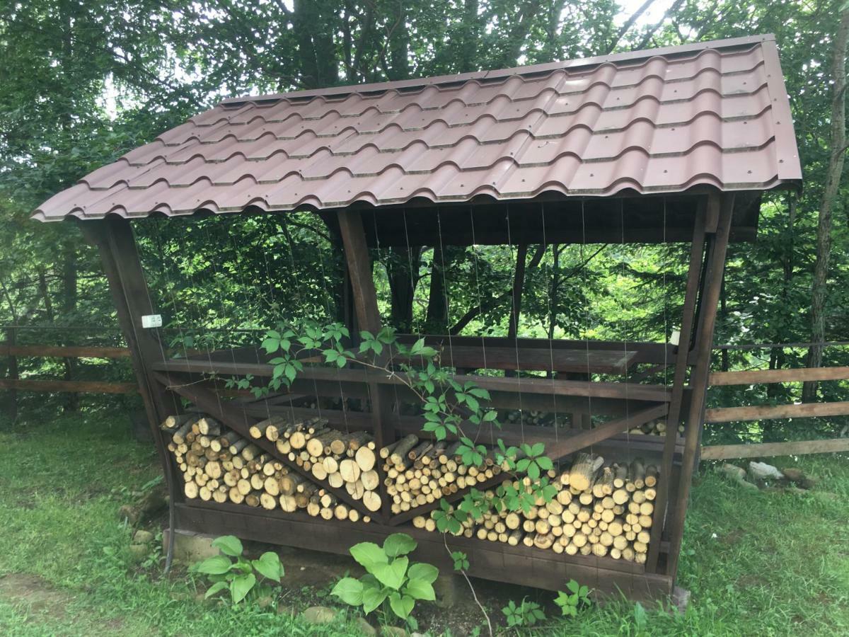 Mini-Hotel Serpanok Mikuliczyn Zewnętrze zdjęcie